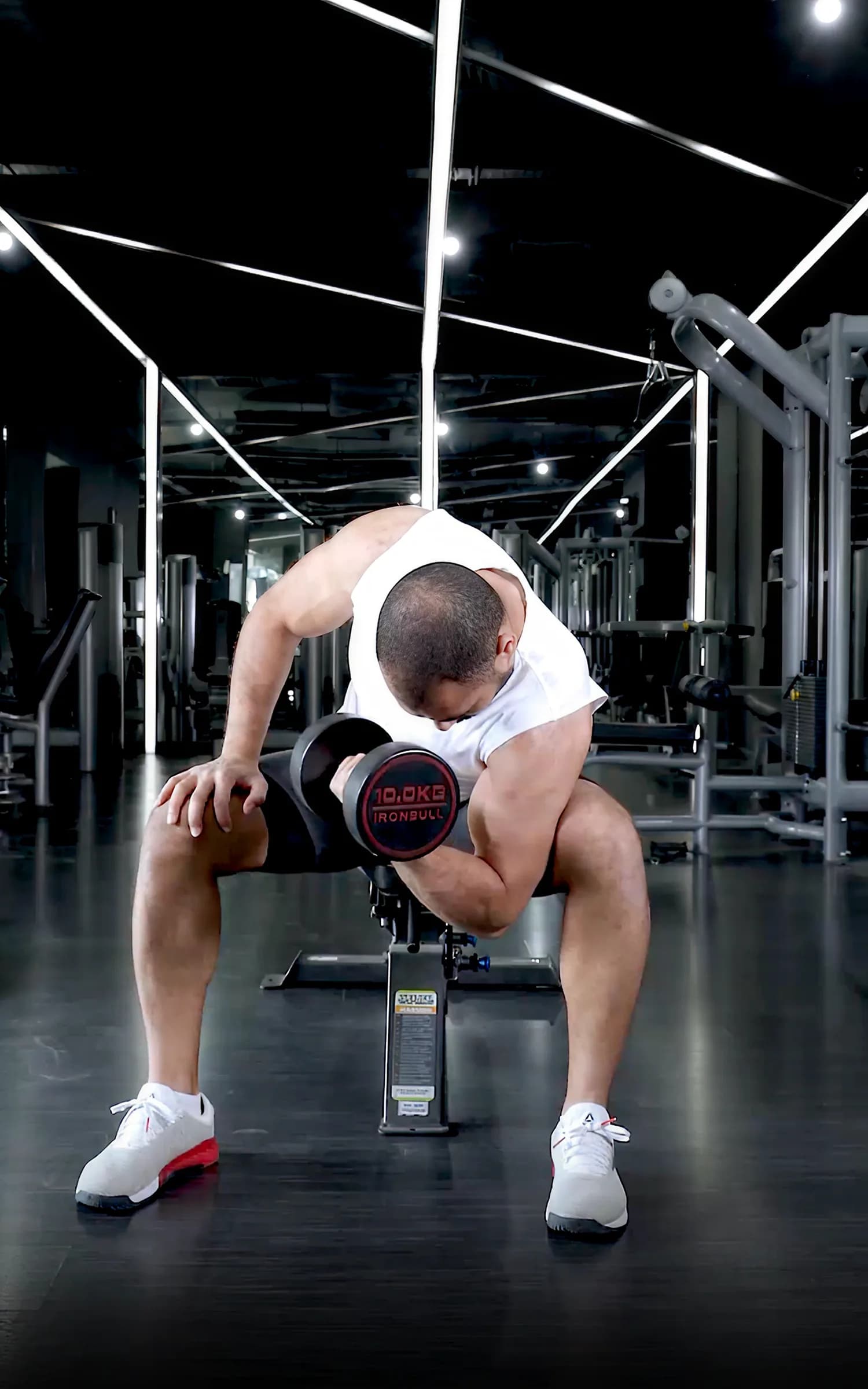 Dumbbell Concentration Curls